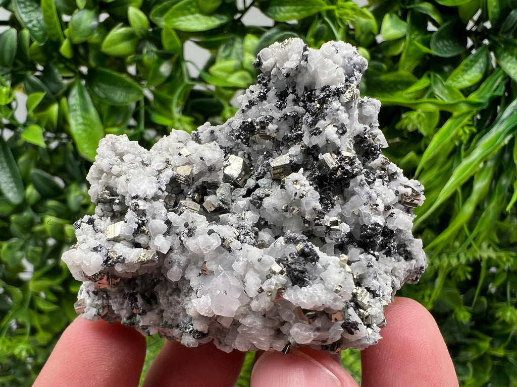 Pyrite on Quartz, Calcite Mineral Specimen, Borieva Mine, Bulgaria