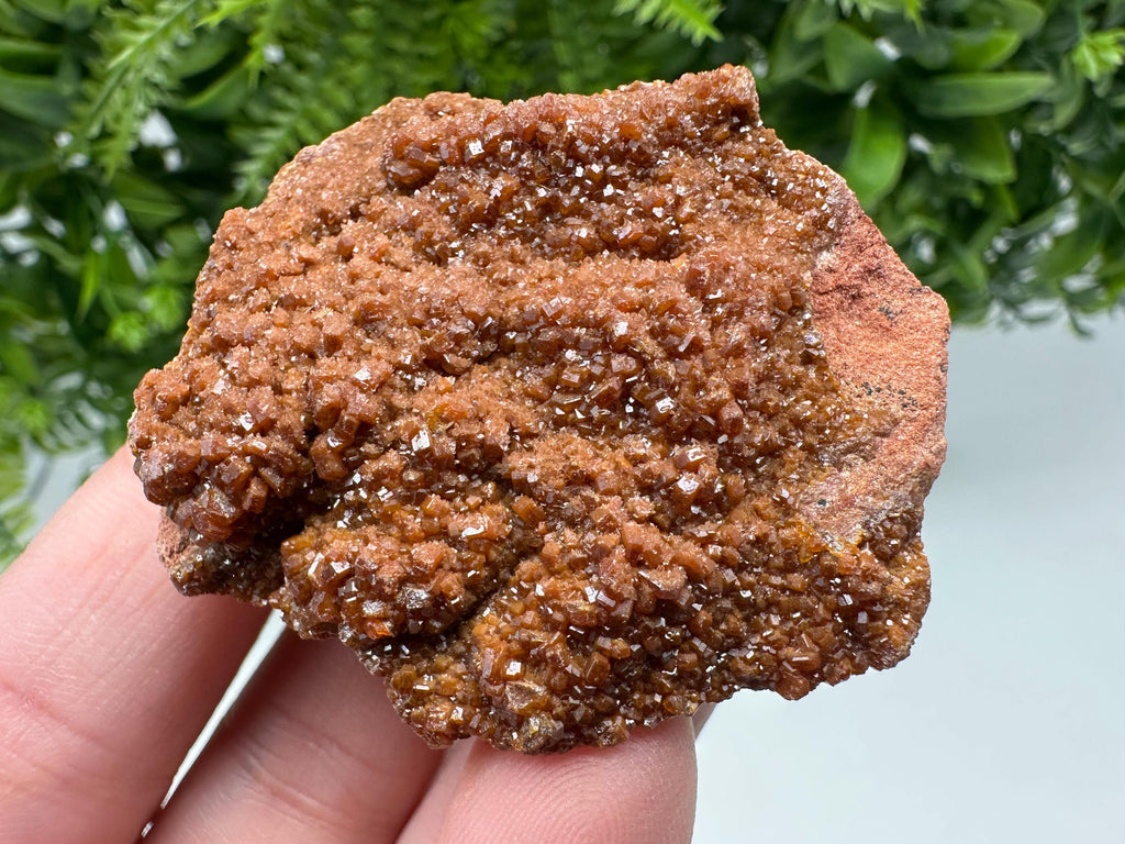 Red Vanadinite on Matrix from Marocco,crystal minerals Speciment cluster Vanadinite crystal Vanadinite Geology Vanadinite cluster minerals