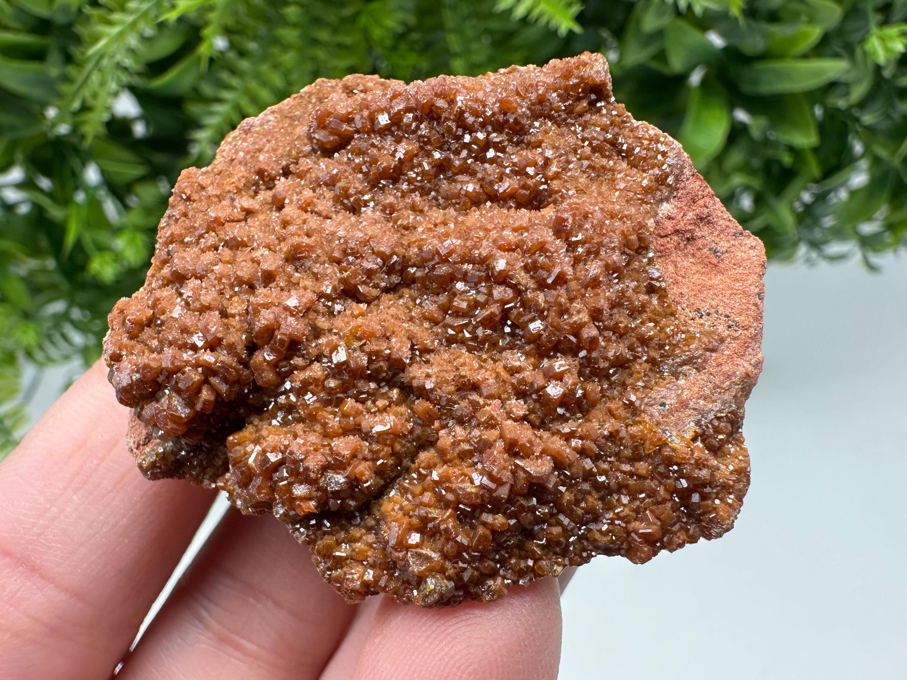 Red Vanadinite on Matrix from Marocco,crystal minerals Speciment cluster Vanadinite crystal Vanadinite Geology Vanadinite cluster minerals