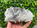 Sphalerite Galena Pyrite on Quartz: Borieva Mine Mineral Cluster