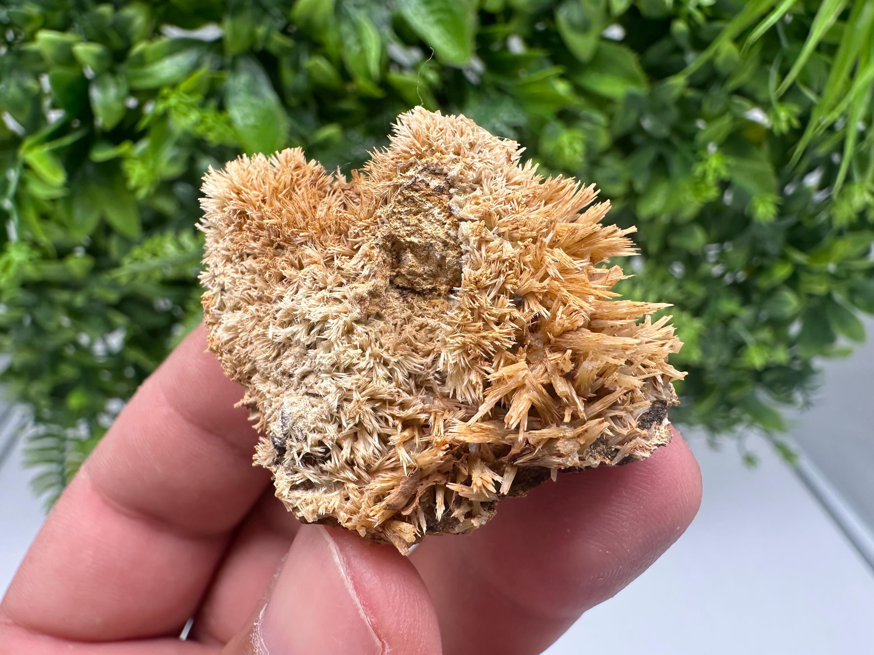 Rare Green/Yellow Pyromorphite with Hematite on Quartz - Madjarovo Mine, Bulgaria