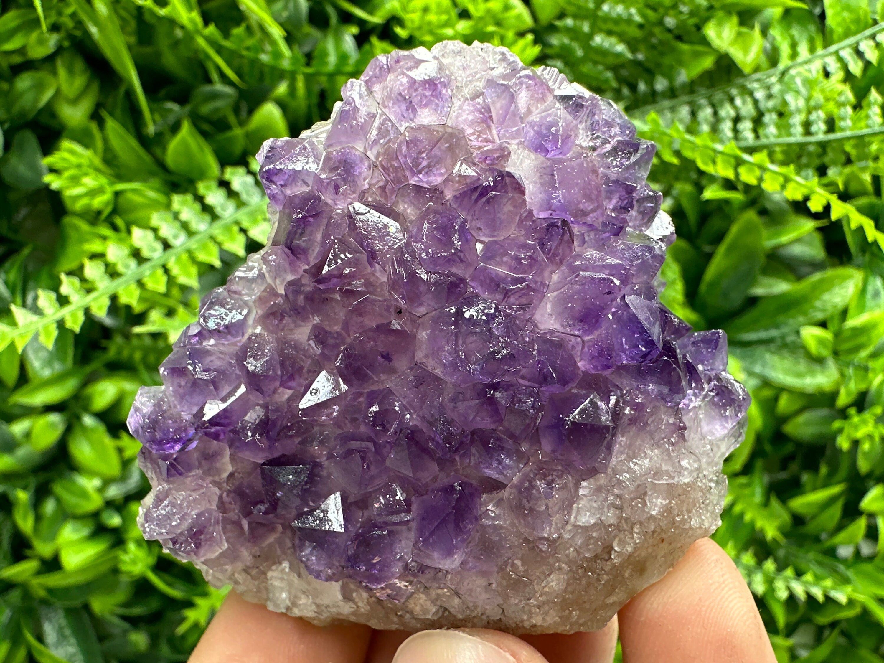 Uruguay Amethyst Cluster: Purple Quartz Crystal, Home Decor (6/7/4cm)
