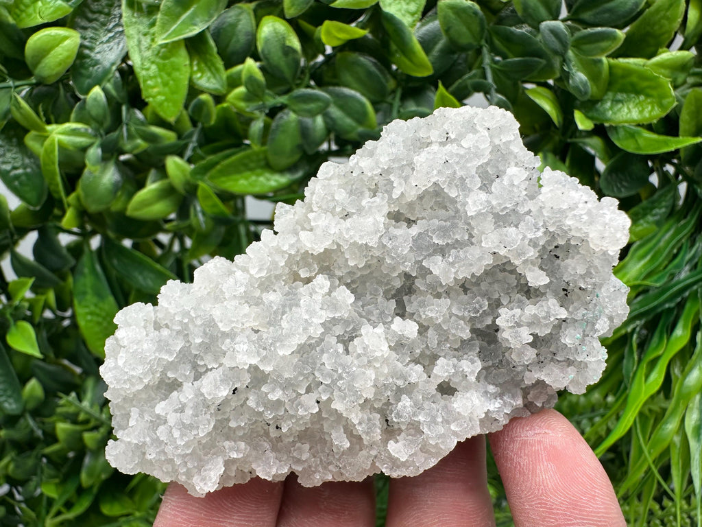 Natural Chalcedony Specimen: India Crystal Mineral Collection