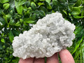 Natural Chalcedony Specimen: India Crystal Mineral Collection