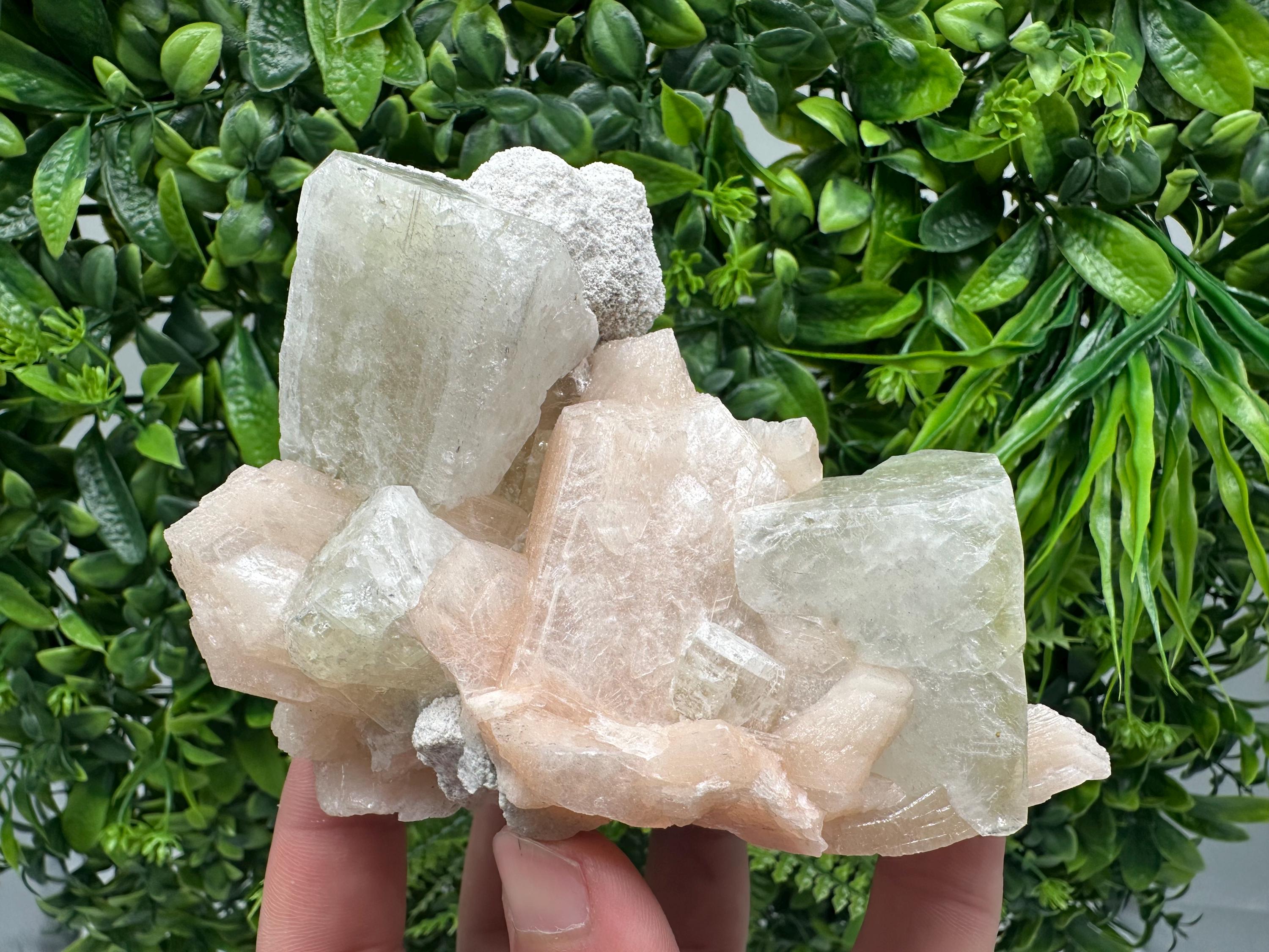 Apophyllite Stilbite on Chalcedony, India Crystal Mineral Specimen