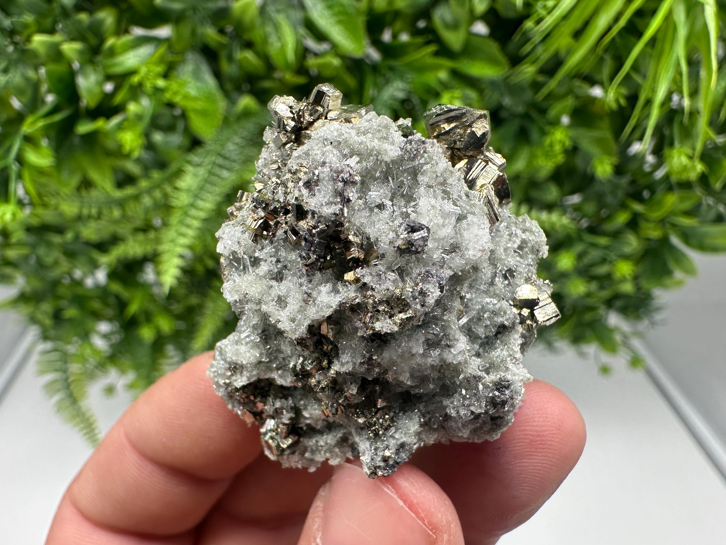 Pyrite on Green Quartz Mineral Specimen, Borieva Mine Bulgaria