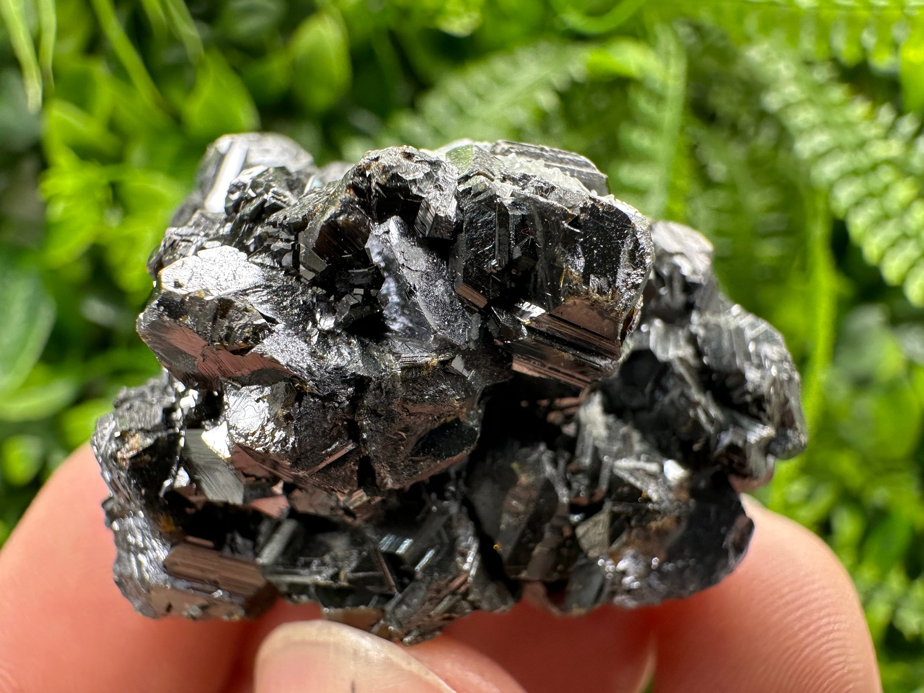 Shiny Galena with Sphalerite, Rare Crystal Decor, Borieva Mine Bulgaria
