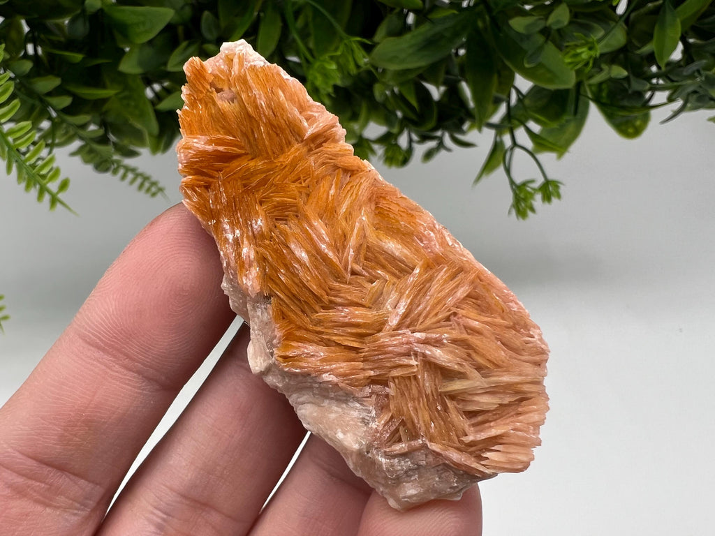Wonderful Baryte with Cerussite on Galena from Morocco,Crystal, Mineral,Specimen,Cluster,Crystals,Barite Crystal,Cerussite Crystal,Specimen