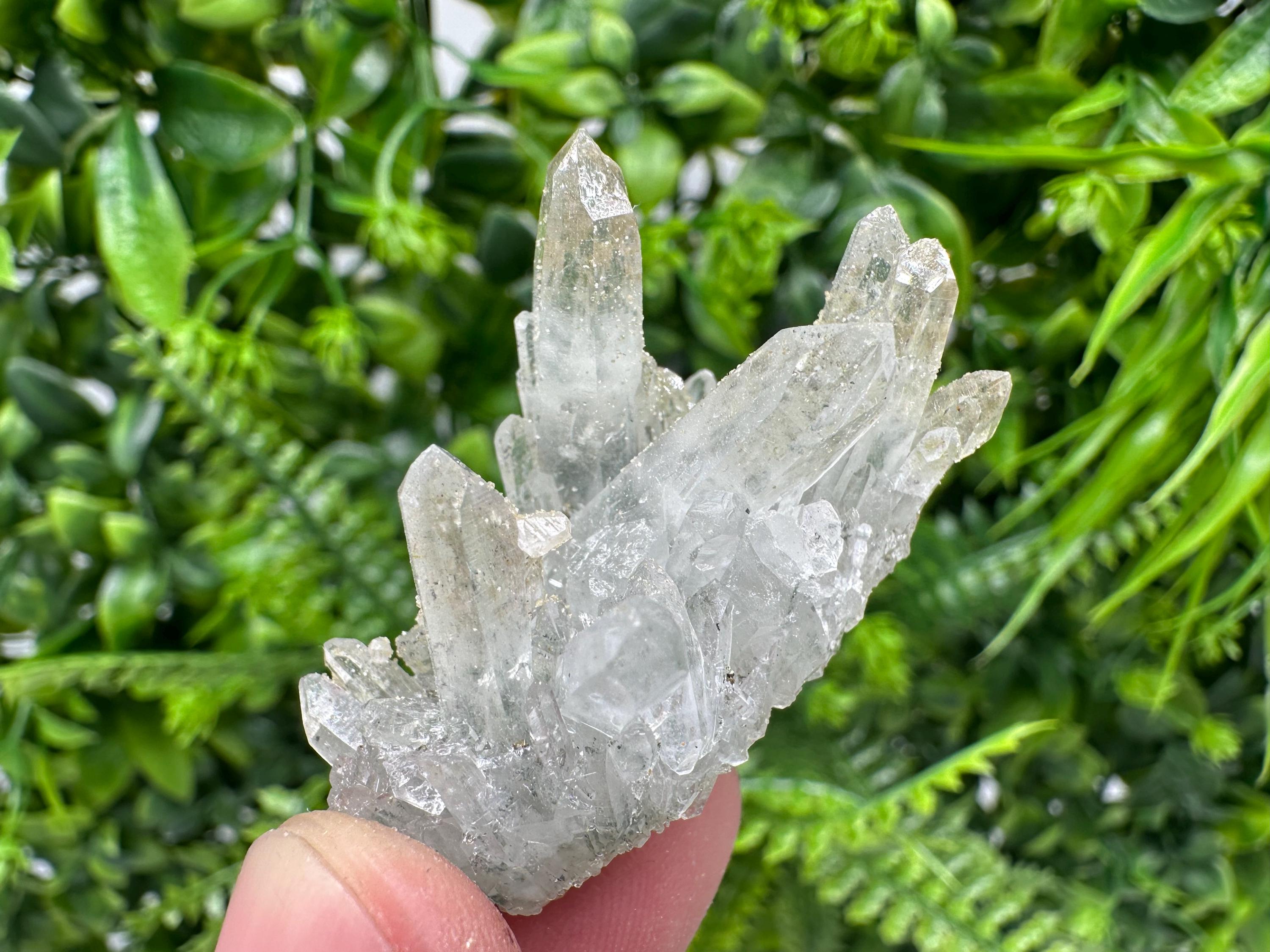 Quartz Rhodochrosite Cluster, Djurcovo Mine Mineral Specimen
