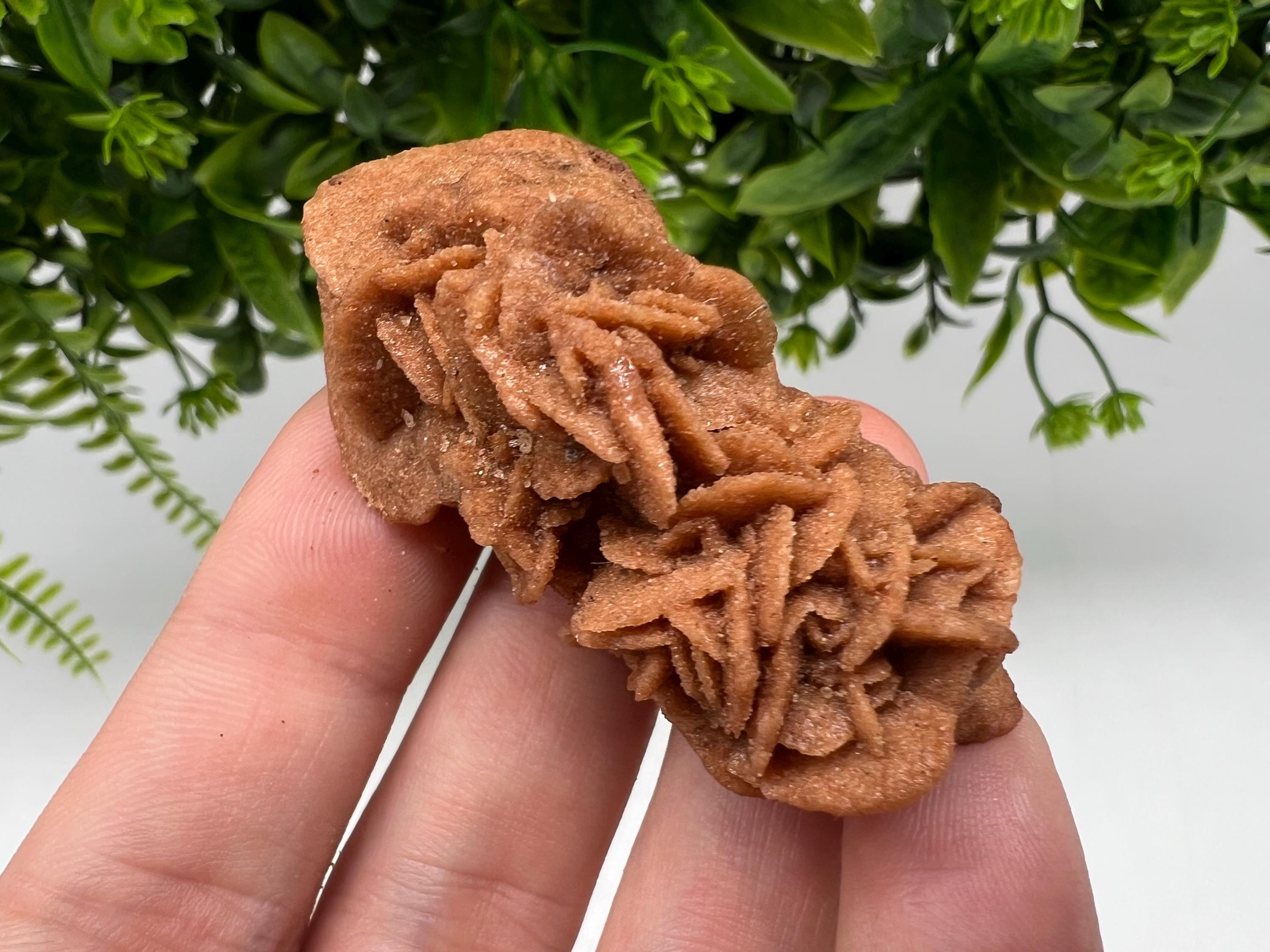 Desert Rose Crystal: Root Chakra Healing Selenite Stone