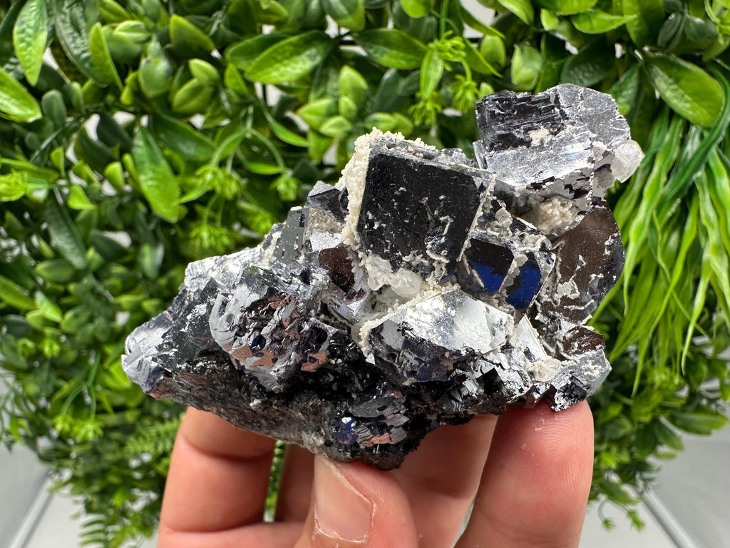 Rare Mirror Galena Cubes: Marzyan Mine, Bulgaria