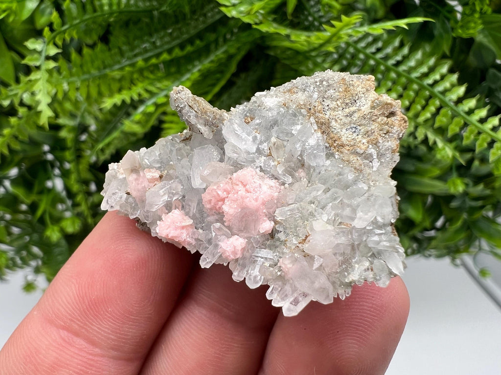 Pink Rhodochrosite Specimen: Starnica Mine, Bulgaria