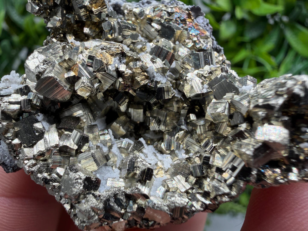 Pyrite Sphalerite Quartz  Mineral Specimen, Krushev dol Mine
