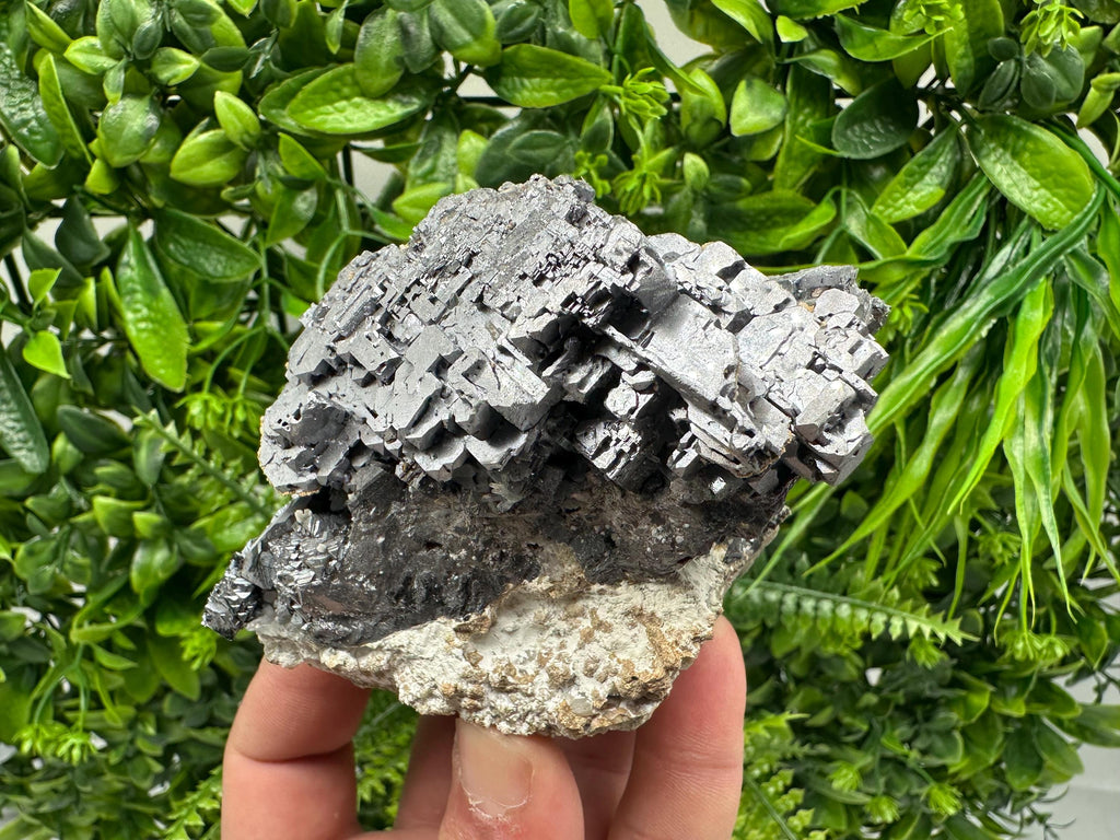 Aesthetic Natural shiny Galena whit Siderite and Quartz from 9 th September mine,Bulgaria,collection specimen,rare galena,Galena cluster