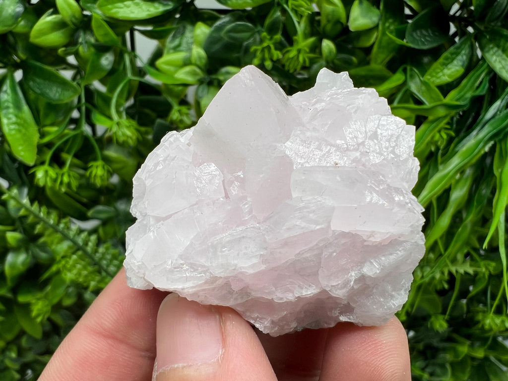 UV Reactive Mangano Calcite Crystal: Androvo Mine, Bulgaria