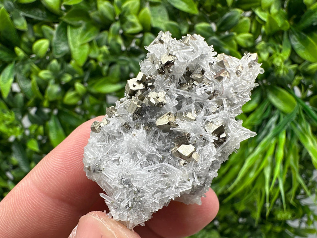 Pyrite on Green Quartz Mineral Specimen, Borieva Mine Bulgaria
