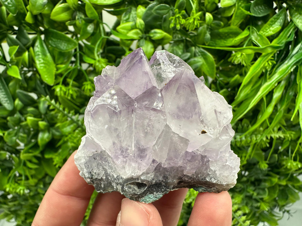 Brazilian Amethyst Crystal Cluster, Purple Quartz Specimen