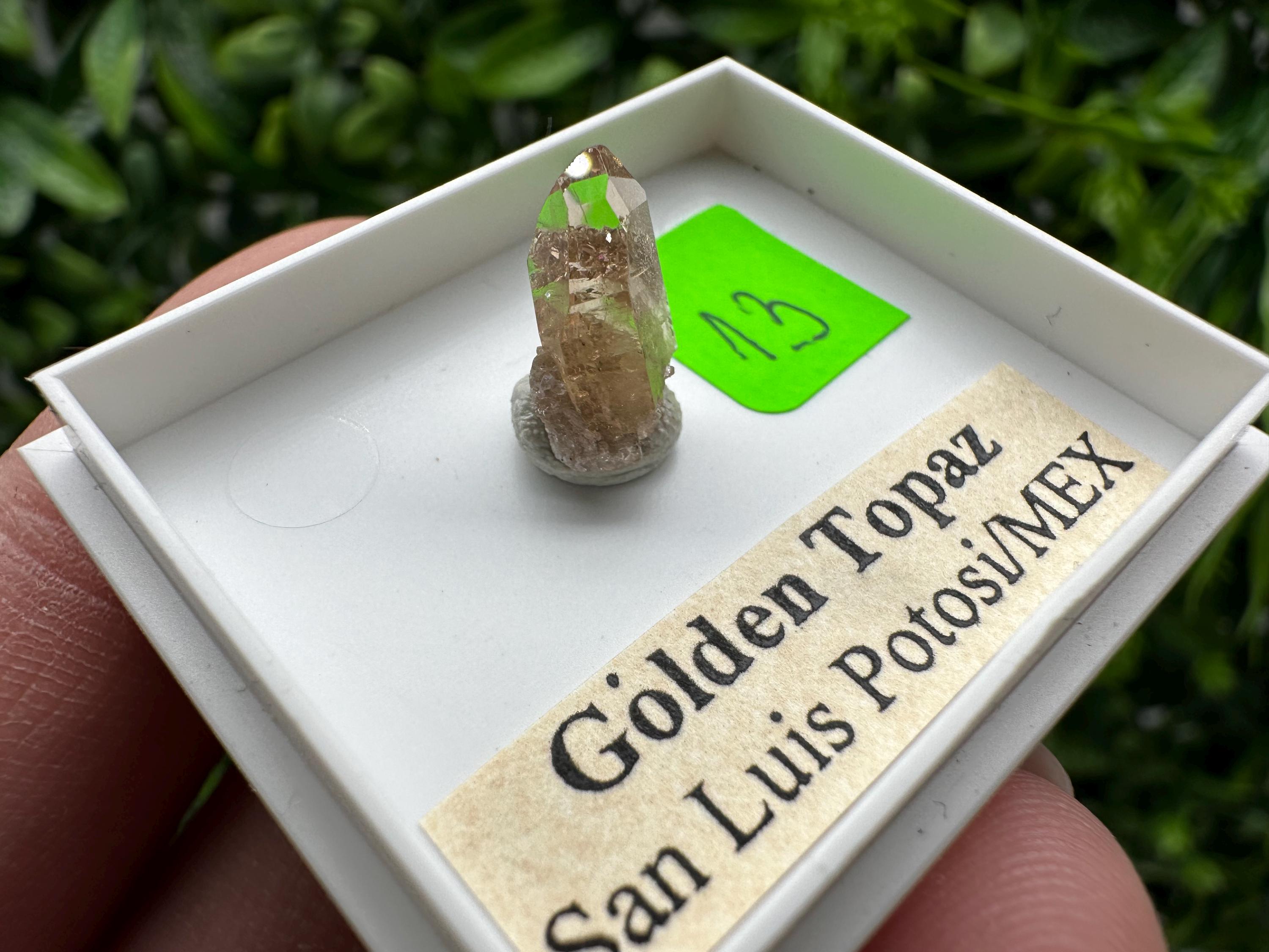 Golden Topaz Crystal, Mineral Specimen from Mexico