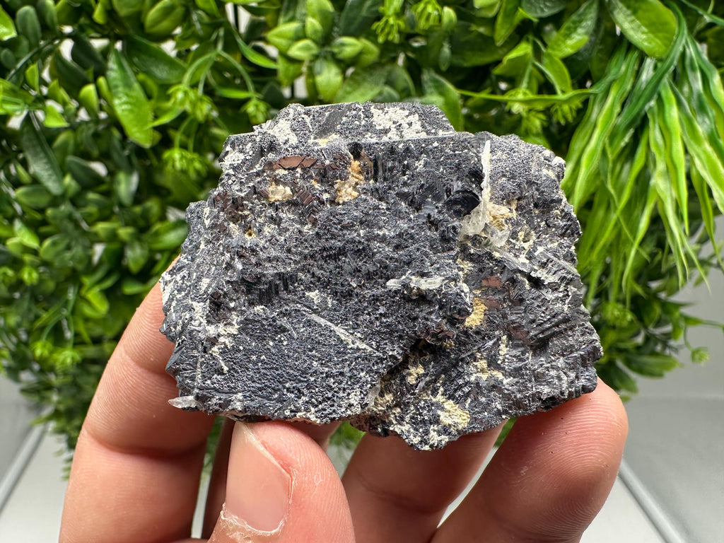 Galena Spinel Law Mineral Specimen: Krushev Dol, Bulgaria