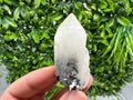 Stunning Sphalerite on  Quarzt from Borieva mine,Madan,Bulgaria,natural,collection mineral specimen,home decor crystal,gift,collection