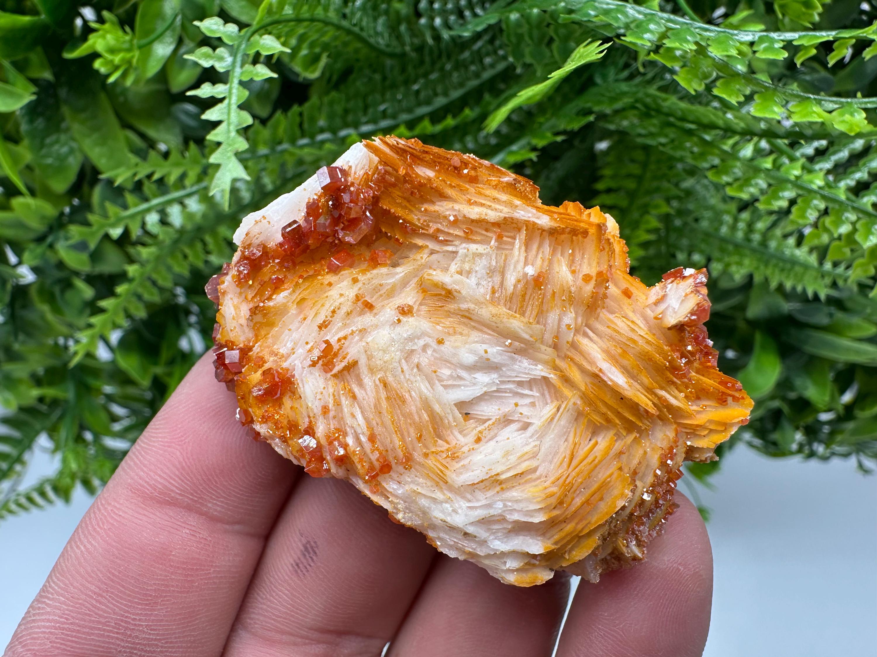 Red Vanadinite on Barite, Morocco Mineral Specimen