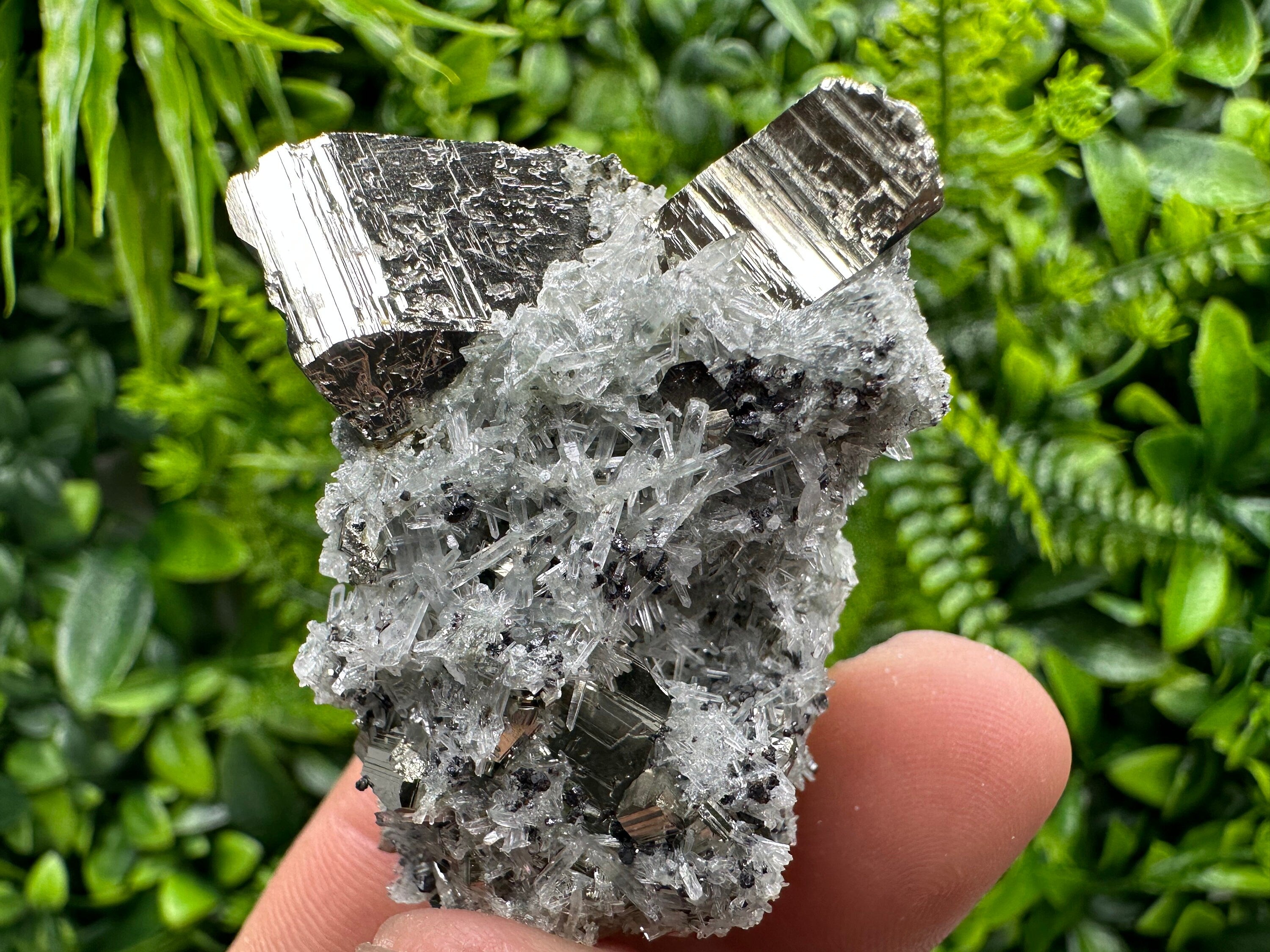 Pyrite on Needle Quartz: Chlorite Inclusions, Borieva Mine, Bulgaria