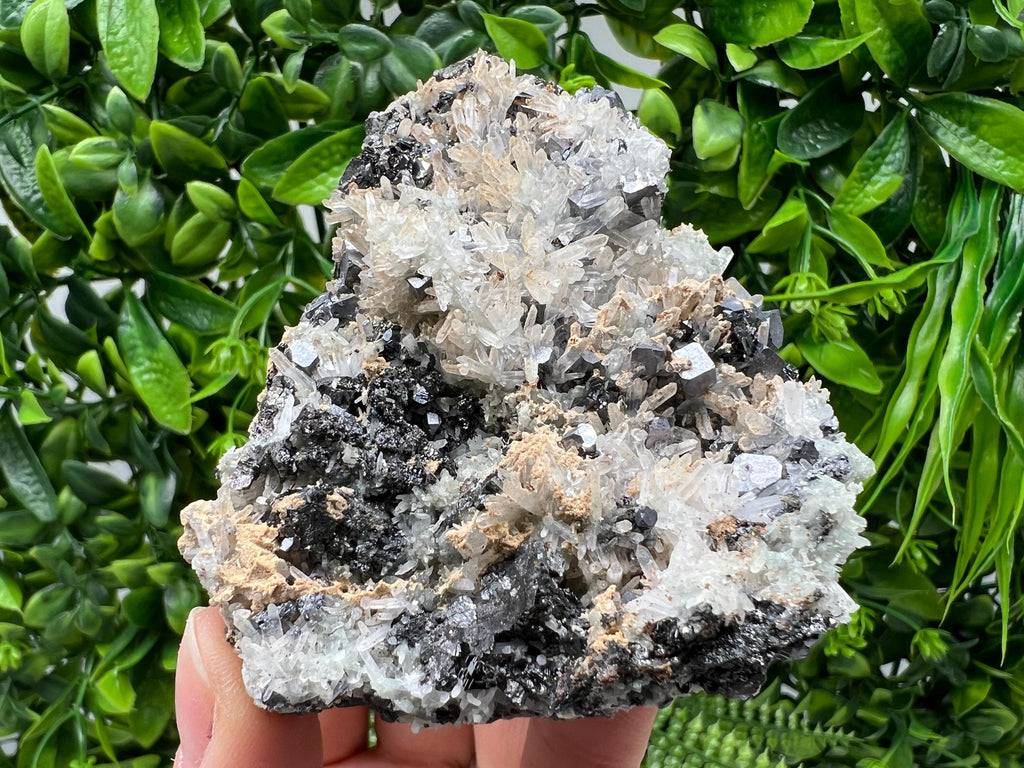 Aesthetic Natural shiny Galena whit Siderite and Quartz from 9 th September mine,Bulgaria,collection specimen,rare galena,Galena cluster
