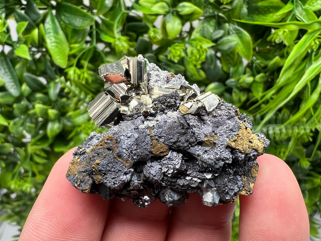 Golden Pyrite Sphalerite Cluster, Madan Bulgaria Mineral Specimen