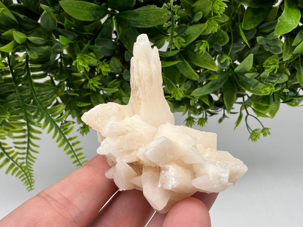 Calcite on Green Quartz: Djurcovo Mine, Bulgaria Healing Crystal