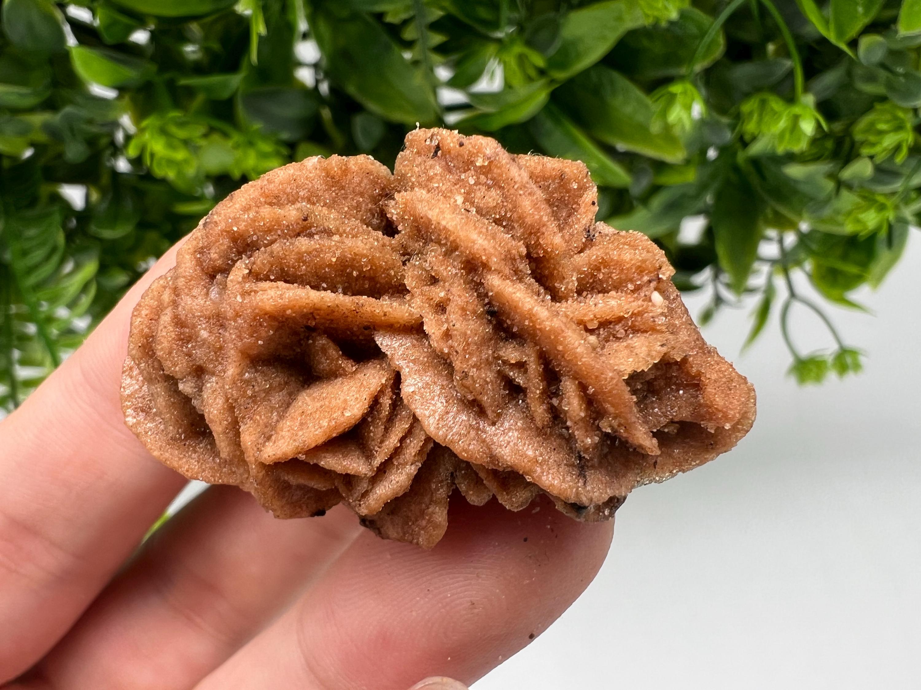 Desert Rose Crystal: Root Chakra Healing Selenite Stone