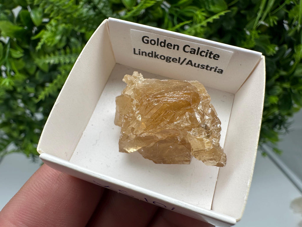 Raw Honey Calcite Crystal: Rough Golden Stone (3.5/2.5 cm)