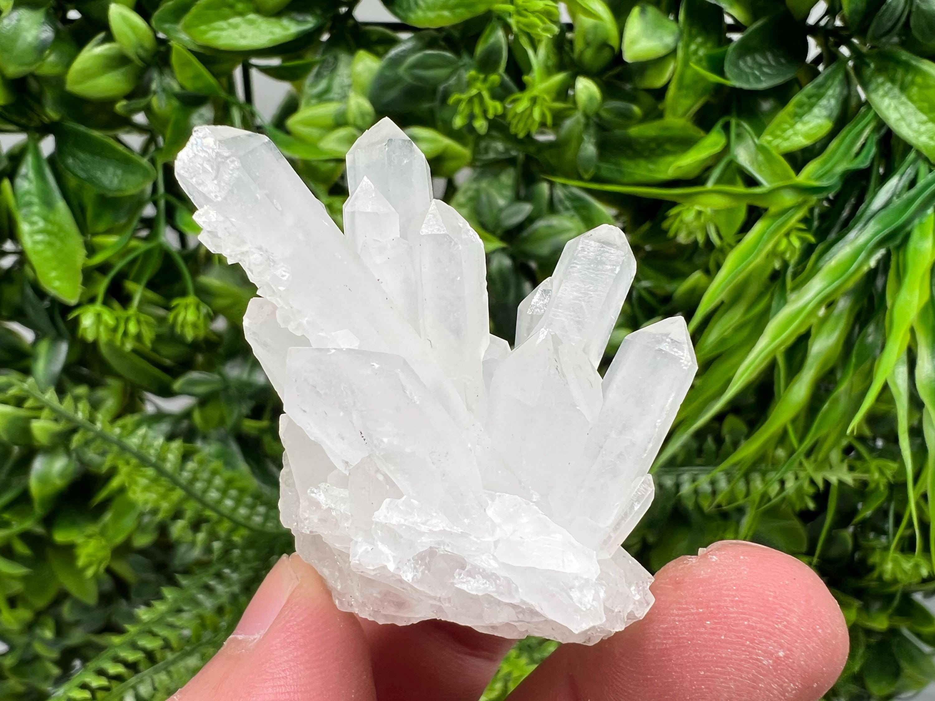 Transparent Quartz Cluster, Djurcovo Mine, Bulgaria, Mineral Specimen