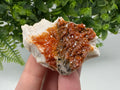 Red Vanadinite on Barite Cluster, Moroccan Mineral Specimen (5/3.5/2.5 cm)