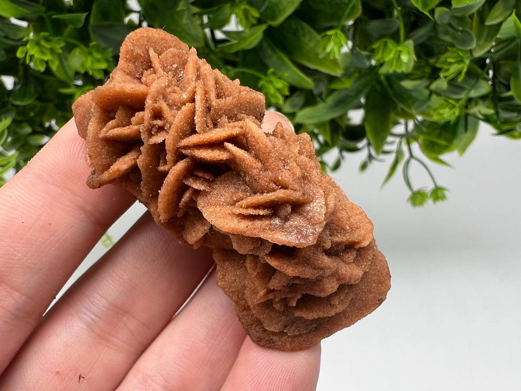Desert Rose Crystal: Root Chakra Healing Selenite Stone
