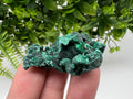 Malachite Crystal from Congo,Minerals,Crystals from Congo,Green Malachite, Malachite,Natural Malachite,Malachite Stone,Chakra, Specimens