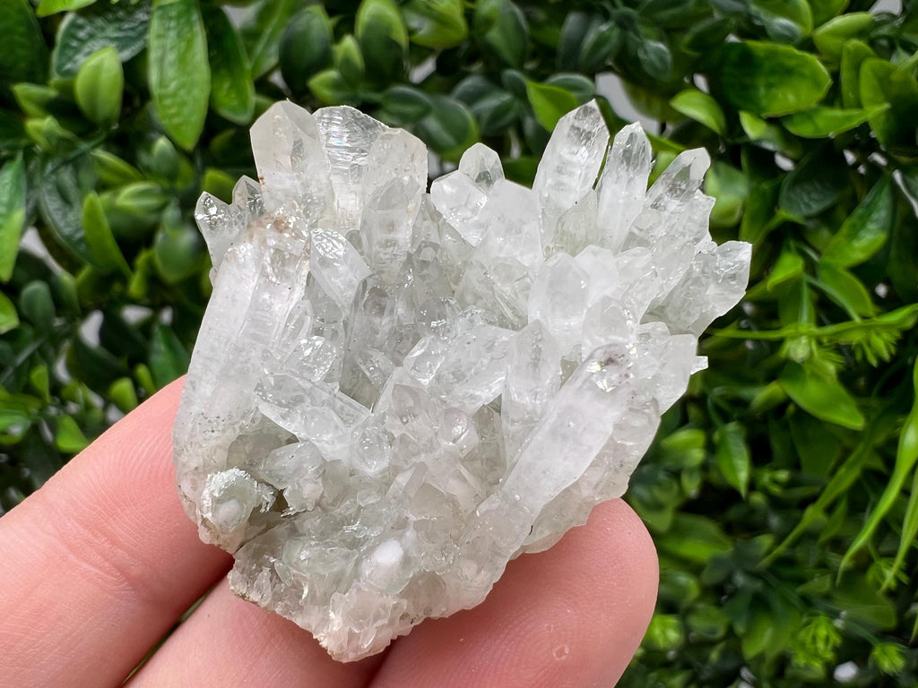 Wonderful Transparent Quartz on Chlorite Matrix,From Borieva mine,Madan,Bulgaria,Quartz,Quartz crystal,mineral specimen,collection quartz