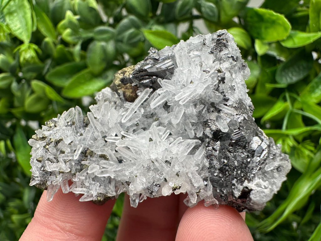 Wonderful Sphalerite Chalcopyrite on  Quartz whit Galena feom 9 th September mine,Bulgaria,natural,collection mineral specimen,gift