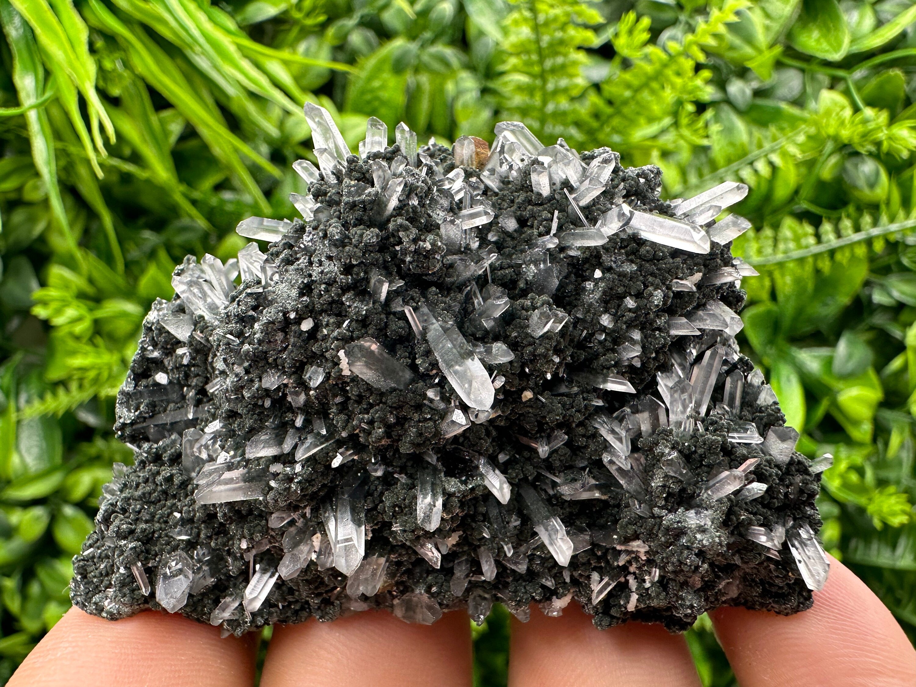 Chlorite Quartz Crystal: Iron Oxide Mineral Specimen, Borieva Bulgaria