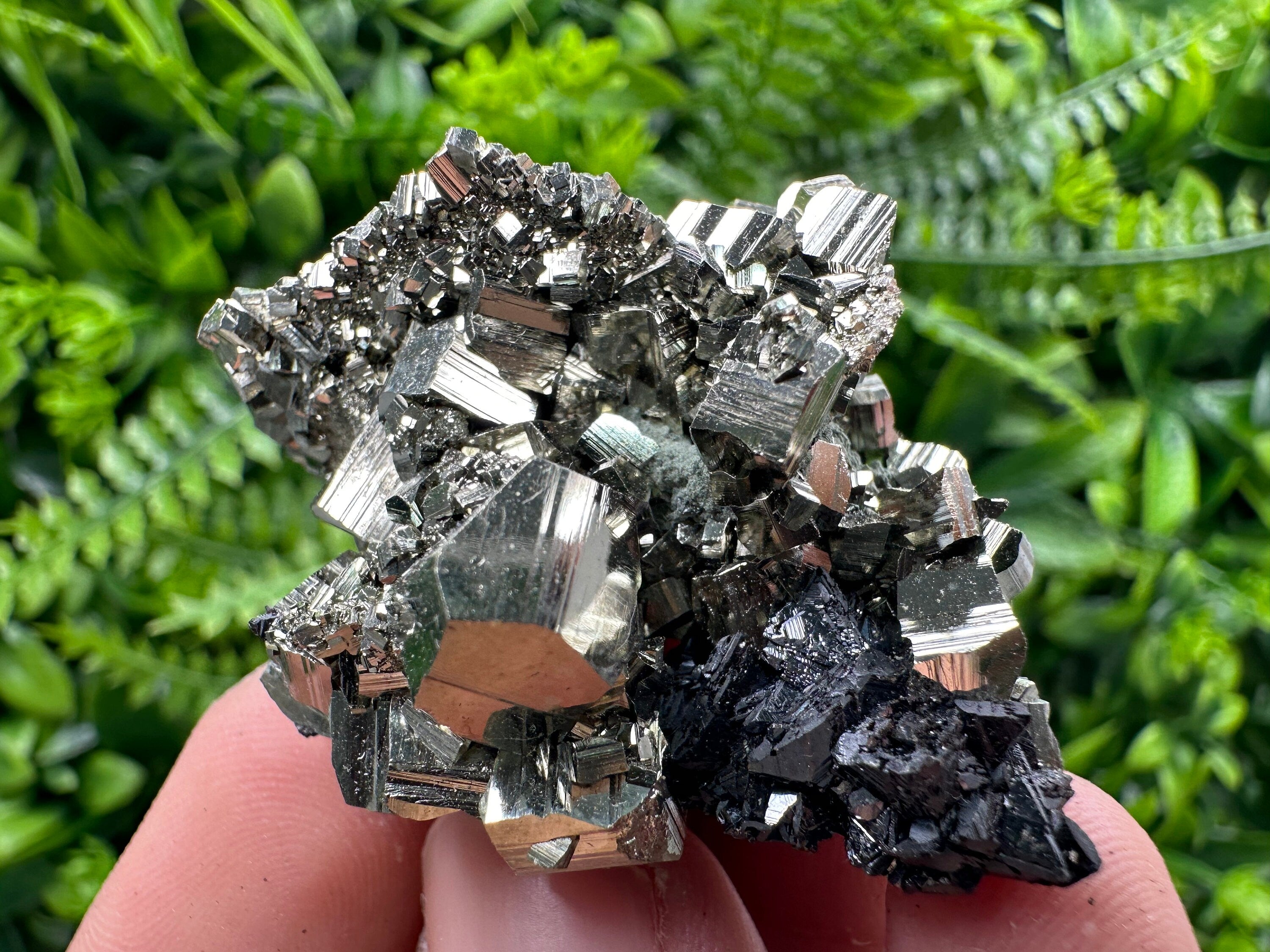Golden Pyrite with Sphalerite Mineral Specimen, Borieva Mine, Bulgaria