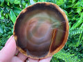 Large Agate Slice: Polished Quartz Crystal Coaster - 8.5/8 cm