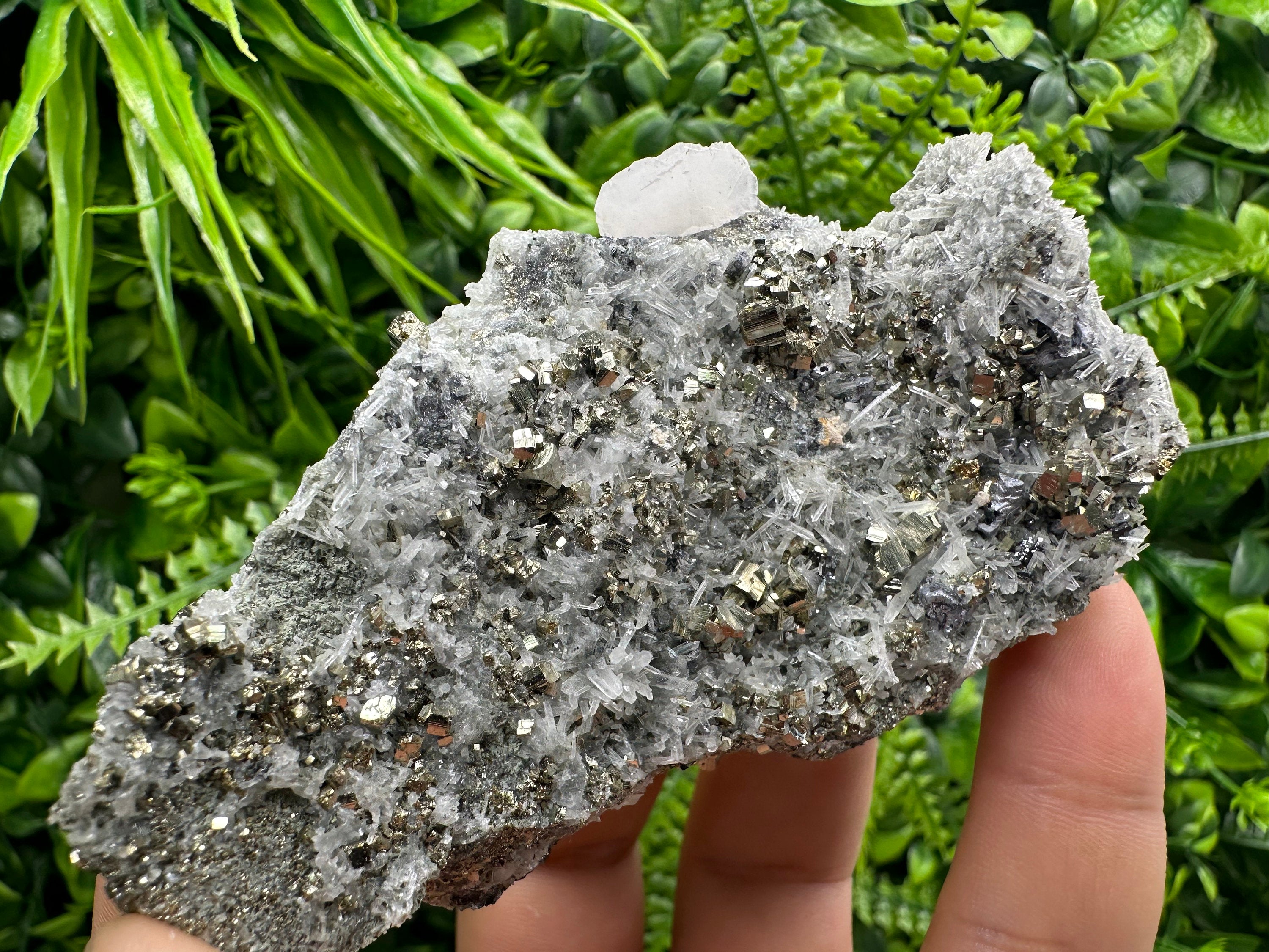Pyrite on Quartz Specimen: Borieva Mine Bulgaria, Home Decor