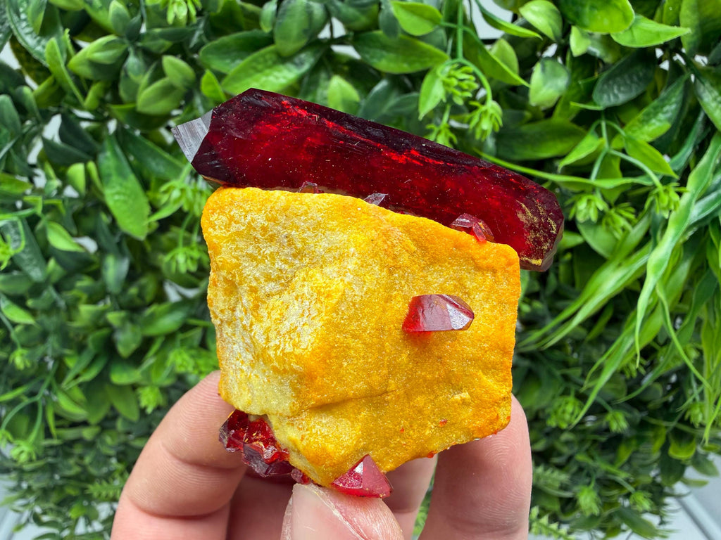 XXL Laboratory Pruskite Ruby Crystal on Matrix