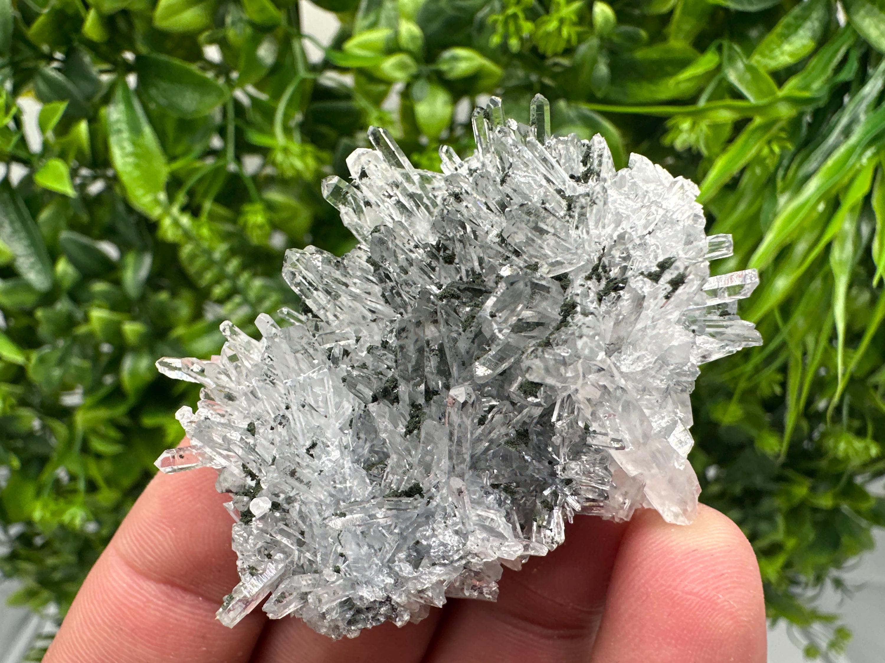 Chlorite Quartz Crystal Cluster - Borieva Mine, Bulgaria