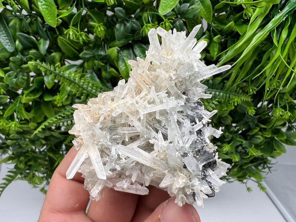 Quartz with Sphalerite Cluster, Krushev dol Bulgaria
