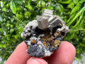 Golden Pyrite,Sphalerite from 9th September mine,Madan,Bulgaria,natural,collectible mineral specimen,home decor crystal,Pyrite cluster,