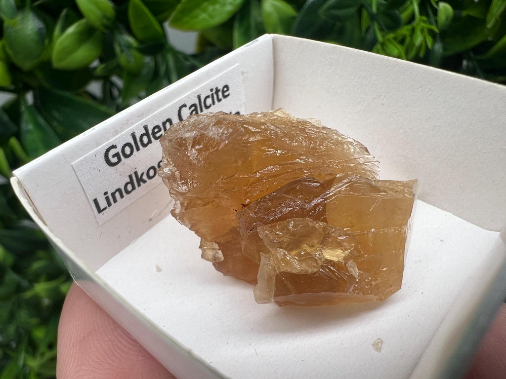 Raw Honey Calcite Crystal: Golden Yellow Stone (3.5/3 cm