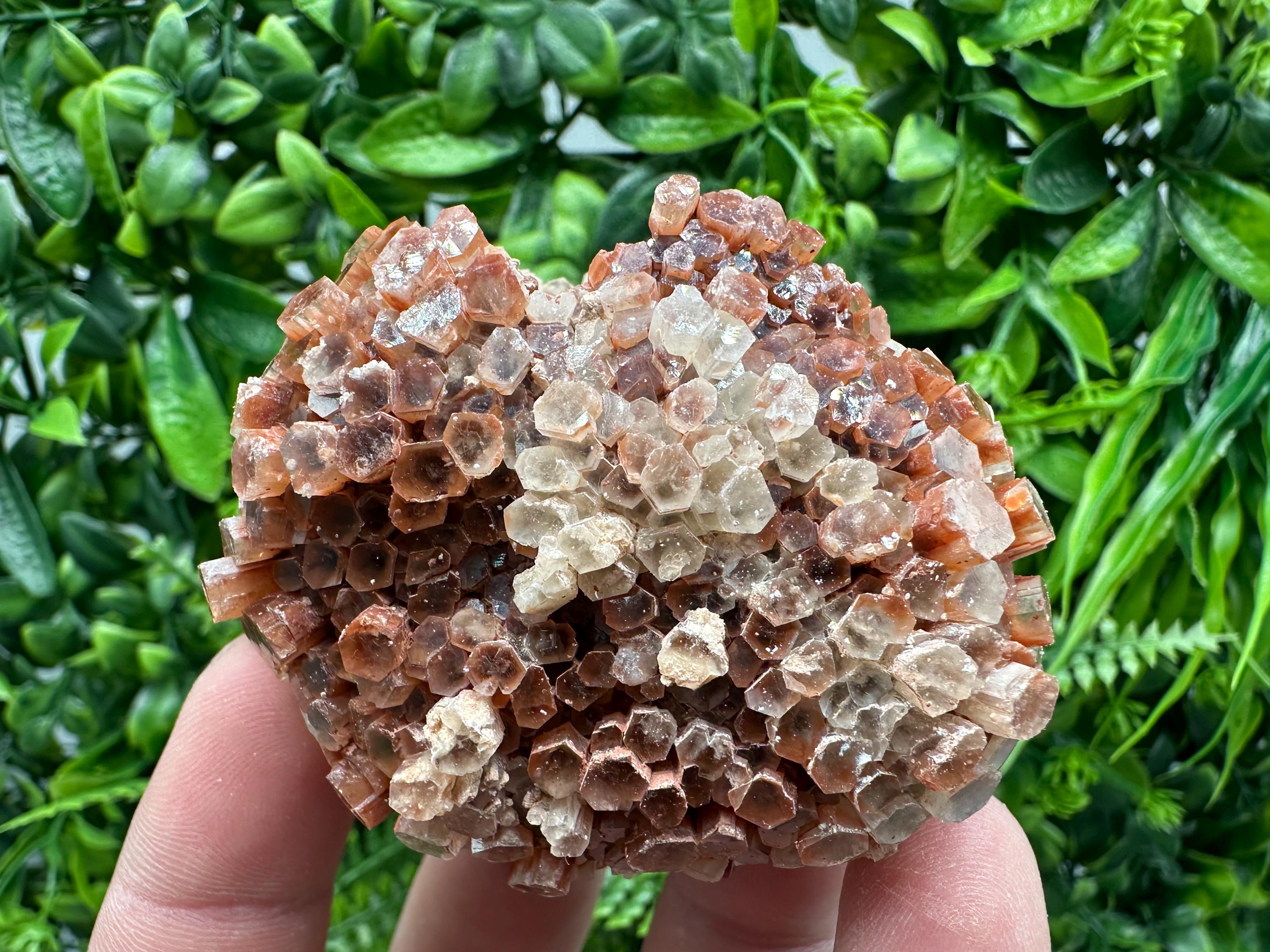 Moroccan Aragonite Sputnik Cluster: Raw Crystal Stone Decor