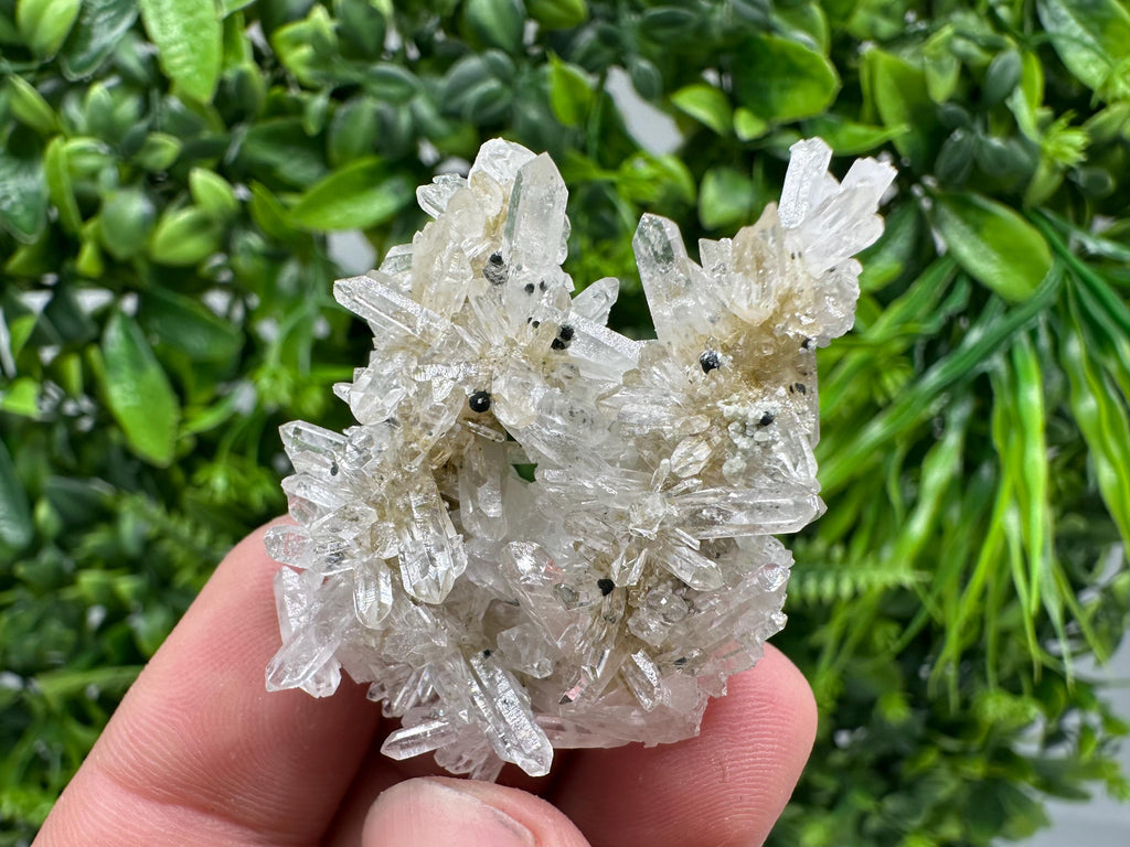 Transparent Quartz Crystal Specimen: Djurcovo Mine, Bulgaria