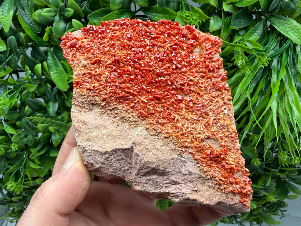 Red Vanadinite on Matrix from Marocco,crystal minerals Speciment cluster Vanadinite crystal Vanadinite Geology Vanadinite cluster minerals