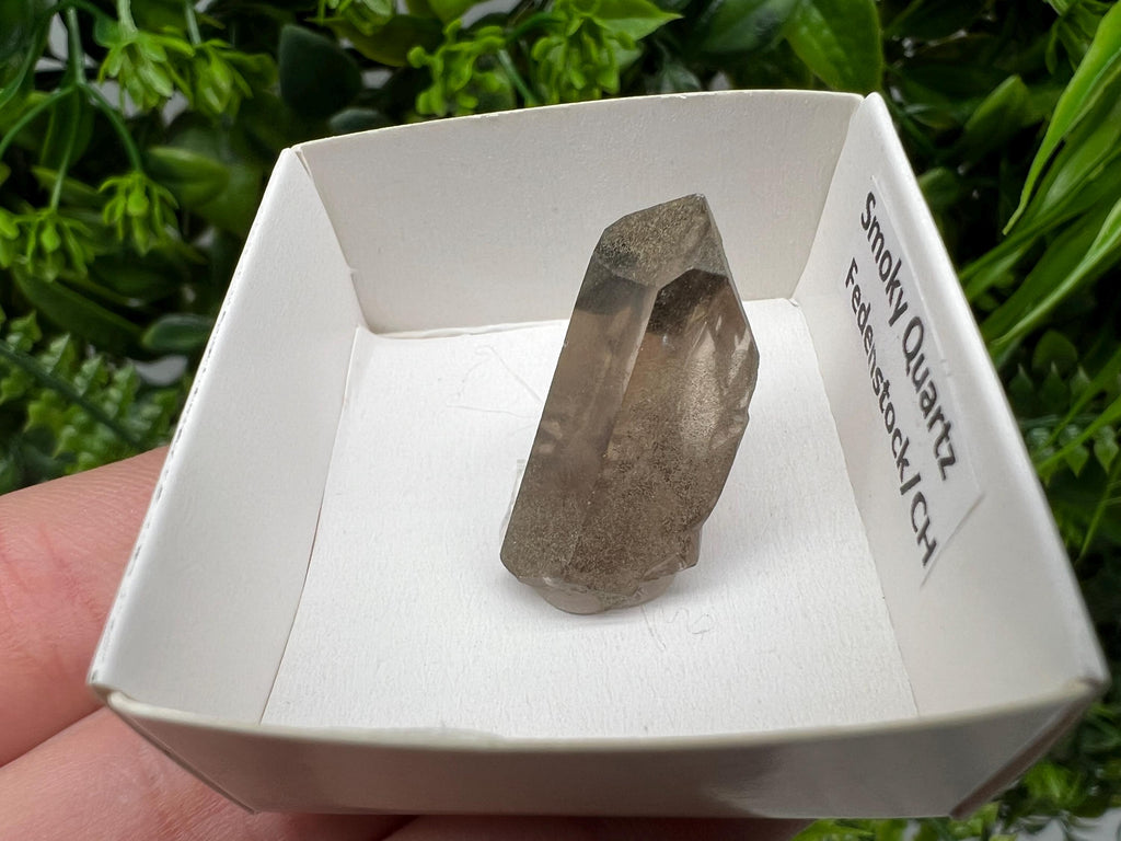 Rare Fedenstock Smoky Quartz Point, Switzerland Mineral Specimen (25MM)